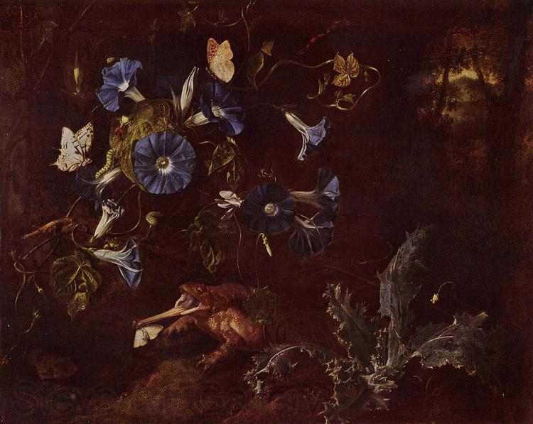 SCHRIECK, Otto Marseus van Blaue Winde Kroe und Insekten